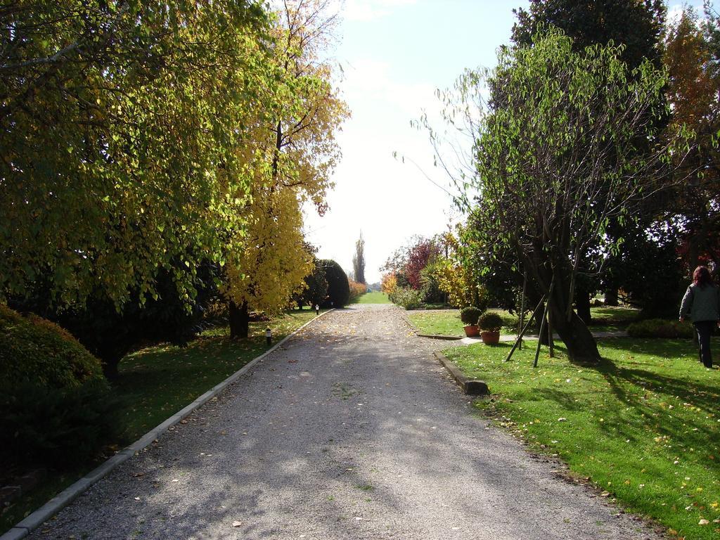 Villa Casa Country Bovolenta Extérieur photo